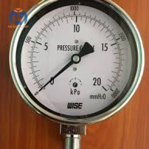 Đồng hồ đo áp suất Wise P254